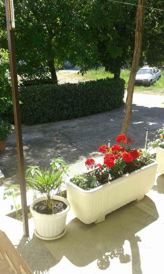 Apartman Danijela Zagorje Kültér fotó